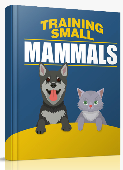 Trainin Small Animals Book cover